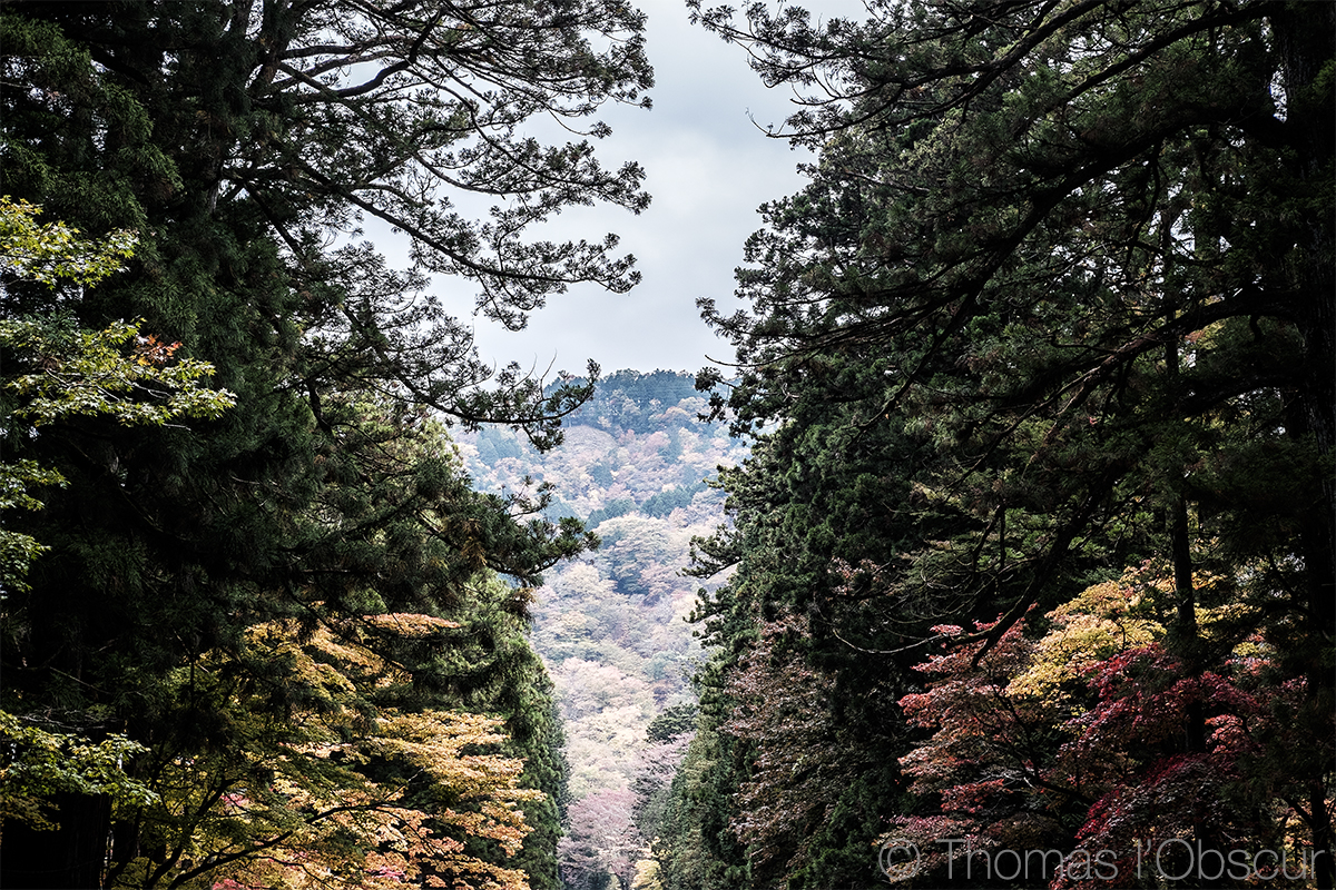 Nikkō, Japon, 2018